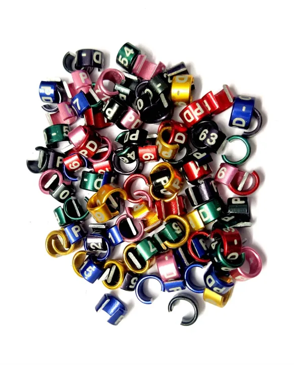 2pcs%206mm%20cut%20ring%20easy%20to%20use%20cockatiel.%20yellow%20sider%20coniur.%20merun%20tail%20coniur.%20plan%20headed%20parrot%20&%20others%20bird.%20pet%20accessories%20-%20Image%203