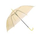 Transparent Fashion Umbrella. 