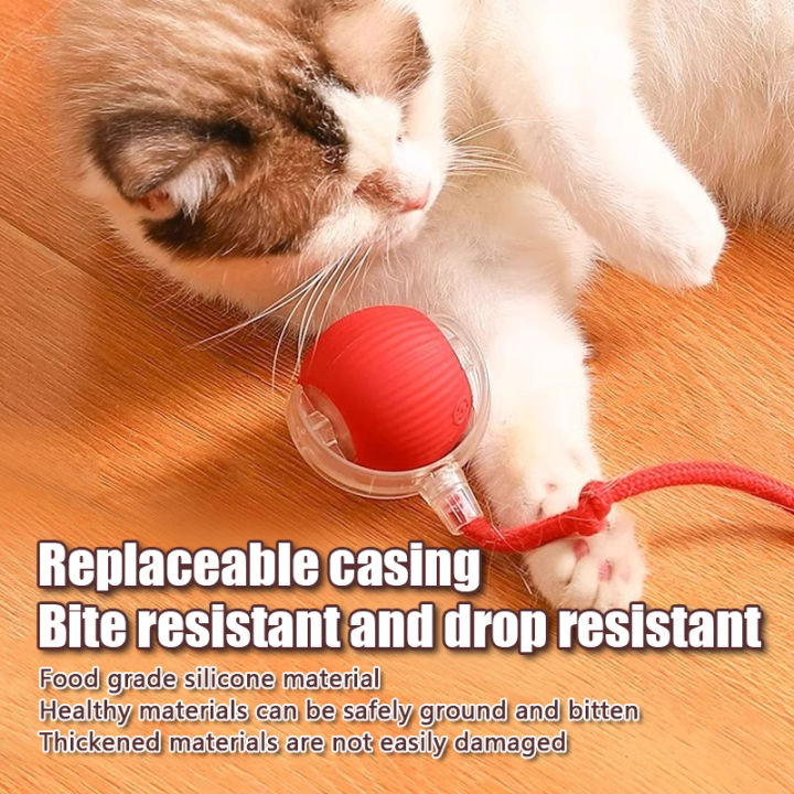1PC%20Smart%20Cat%20Toys%20Automatic%20Rolling%20Ball%20Fake%20Tail%20Rechargeable%20Electric%20Pet%20Interactive%20Toy%20Cat%20Training%20Imitate%20Mouse%20Tail%201P%20-%20Image%203