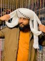 Decent Balochi Turban For Groom | Balochi Dastaar With Decent Colours.. 