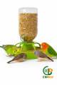 Automatic Bird Feeder & Water Dispenser – CitiBird. 