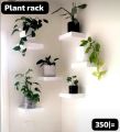 Indoor plants rack. 