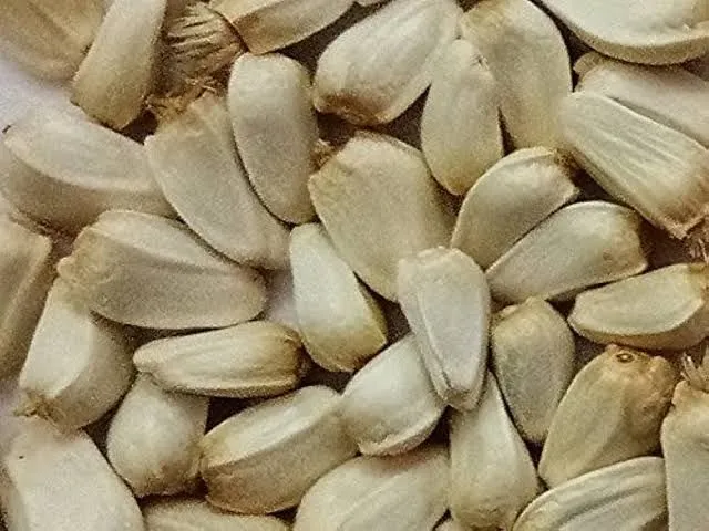 Original%20American%20saffron%20seeds%20pack%20of%20300%20seeds%20deal%20-%20Image%202