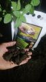 Organic Fertilizer Vermicompost Best Organic Gobar Compost 1KG. 