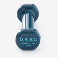 Nyamba double pack dumbbell 0.5g (1 set of 2 pieces). 