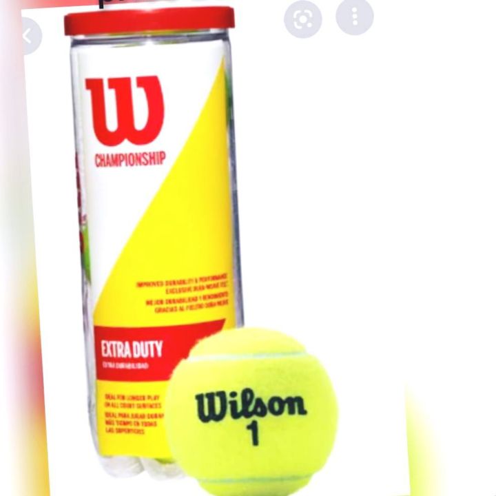 Wilson Championship Cricket Ball