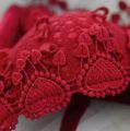 Women Push Up Bra and Panty Set Girl Floral Lace Underwear Set Underwire Brassiere.