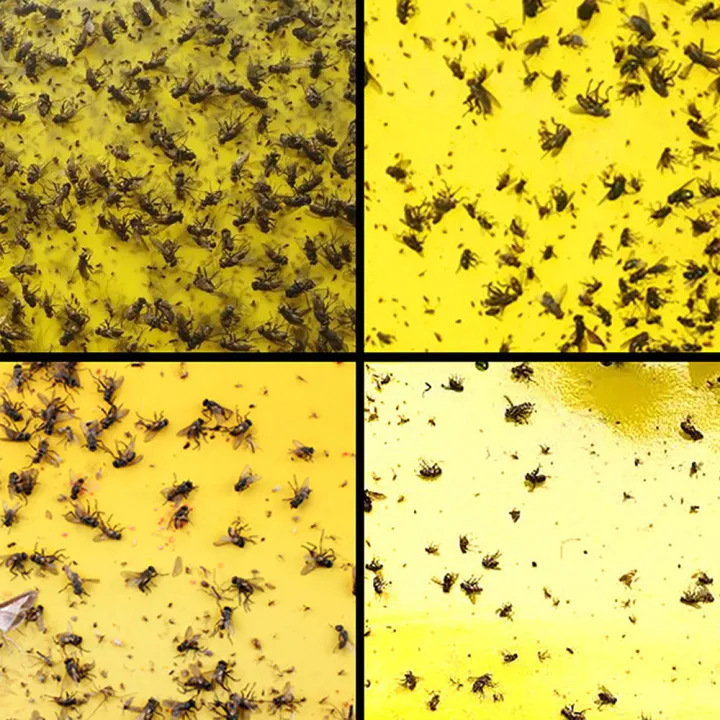 10PCS%20Strong%20Fly%20Traps%20Yellow%20Sticky%20Board%20Dual-Sided%20Catching%20Aphid%20Insects%20Pest%20Killer%20Outdoor%20Fly%20Trap%20Dropship%20-%20Image%203