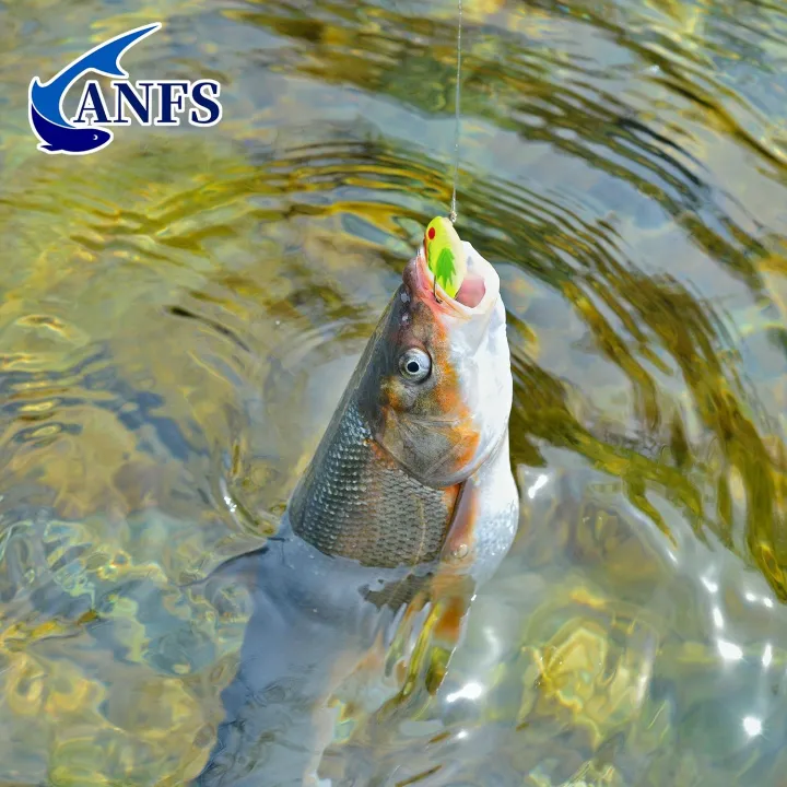 ANFS%205pcs%20Mini%20Frog%20Soft%20Bait-%20Artificial%20Lifelike%20Fishing%20Lures,%20Bionic%20Sequin%20for%20Freshwater%20and%20Saltwater%20Fishing%20-%20Image%205