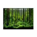 PVC Adhesive Underwater Forest Tank Background Poster Backdrop Waterproof Decoration Paper.
