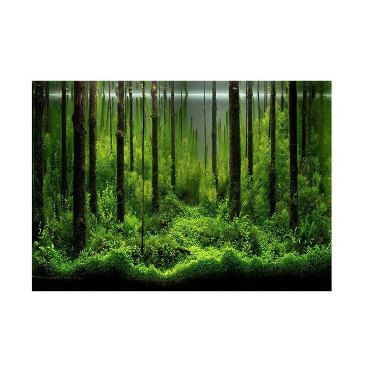 PVC Adhesive Underwater Forest Tank Background Poster Backdrop Waterproof Decoration Paper