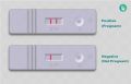 Pregnancy test cassette Get sure (2 kit)digital. 