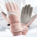 Ski Gloves Winter Warm Cycling Electric Car Windproof Cold Thickened Touch Screen Outdoor Sports Warm Gloves.