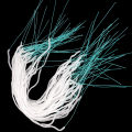 50Pcs Dental Floss Tootick Water Expanded Orthodontic Flosser Multifunctional Cleaning Wire Line Implants Braces Threaders. 