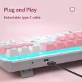 lAULA F3087 Mechanical Gaming Keyboard with RGB lRainbow Blacklit, ABS Keycaps, 87 Keys Anti-Ghosting Ergonomic USB Type-C Wired Computer Keyboards for Windows PC Blue Switch. 