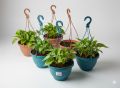 7 inch Hanging Pots(6pis) Set.