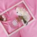 Pink Backdrop Photography Background - 5x9 feet Backdrop Background For Photography without stand. 