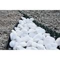 White very big Pebbles/ Stones for Garden and
Aquarium 1kg pack. 