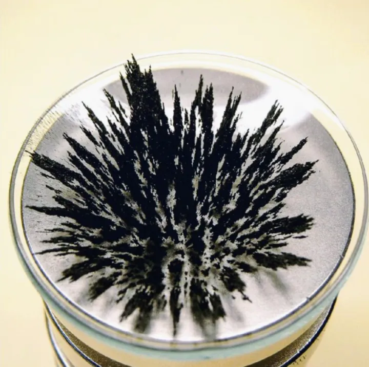 Iron%20Filling%20Powder%20%E2%80%93%2070g%20Science%20Education%20&%20Sensory%20Play%20Material%20for%20Kid%20Rs199%20only%20-%20Image%204