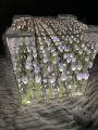 Infinity Cube Tulip Lamp. 