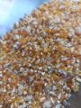 Crushed Corn (Makai Dalya) (1 Kg). 