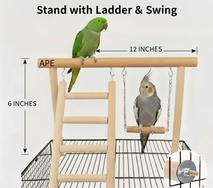Parrots Stand with Ladder and Swing (Solid Wood), best Cage Stand for ...