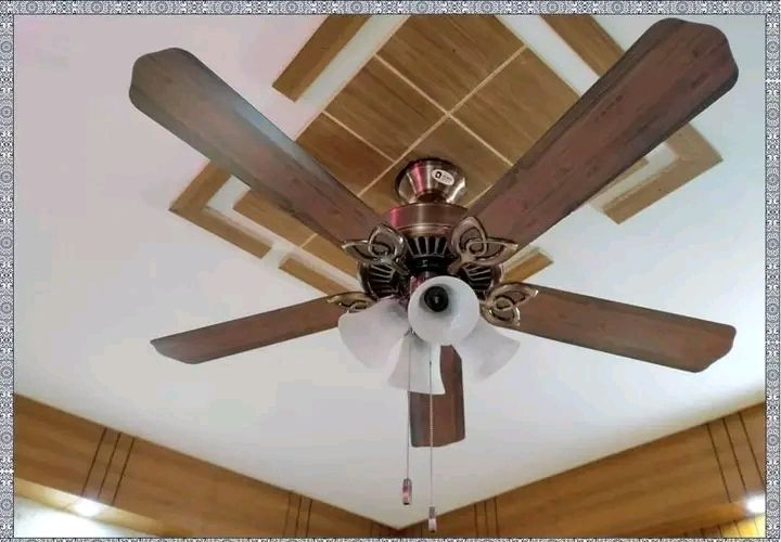 USHA fontana maple ceiling fan