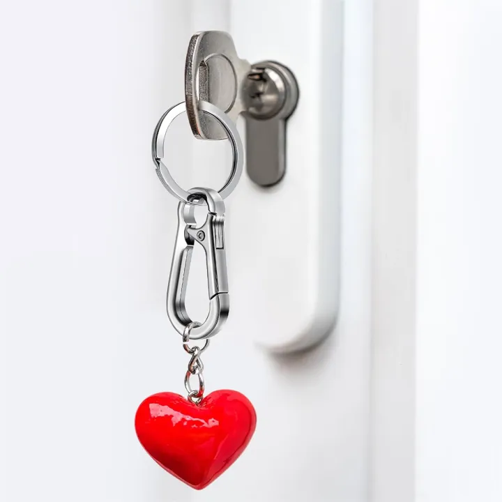 6%20piece%20set%20Durable%20Metal%20Mountaineering%20Buckle%20Keychain%20Metal%20keychains%20come%20with%20sturdy%20clips%20and%20car%20key%20hooks%20-%20Image%205