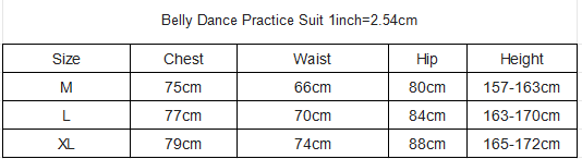 New%20Belly%20Dance%20Costume%20Set%20for%20Women's%20High%20end%20%20Rose%20Embroidery%20Practice%20Set%20Adult%20Oriental%20Dancing%20Clothing%20-%20Image%206