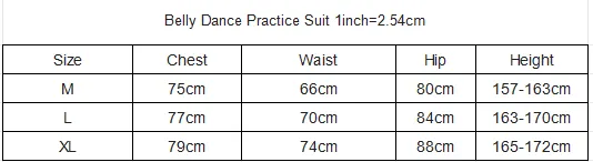 New%20Belly%20Dance%20Costume%20Set%20for%20Women's%20High%20end%20%20Rose%20Embroidery%20Practice%20Set%20Adult%20Oriental%20Dancing%20Clothing%20-%20Image%206
