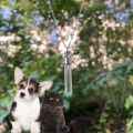 Stainless Steel Glass Cremation Cylinder Tube Urn Pendant Memorial Necklace Ashes Holder Keepsake Cremation Jewelry. 