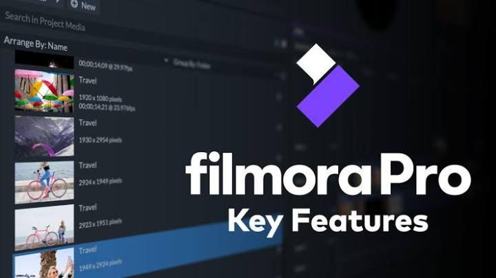 filmora premium