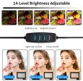 Professional LED fill Light for Photography and videography in 26 cm  | best fill light for Studio photography or videography {PL-26}. 