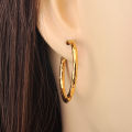 Lokaer Waterproof 316L Stainless Steel Geometric Huggie Hoop Earrings 18K Gold Plated Charm Fashion Jewelry For Women E24114.