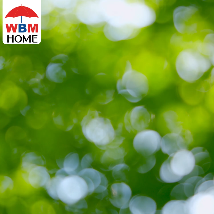 (Pack of 10) W Home Aphid Glue Trap | Insect Killer Traps