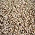 safaid Till,(sesame seeds),250gm(premium quality of A&AA store). 