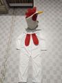 Chicken hen costume for school event and birthday party   all character costume available for school event. 
