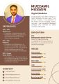 Customized Professional Designer CV, Resume, Curriculum vitae. 