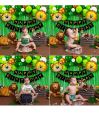 1st Birthday Decoration - 52Pcs, Jungle Theme Birthday Decoration For Boys, Girls | Happy Birthday Decoration Items | First Birthday Decorations With Balloons, Birthday Banner(Cardstock). 