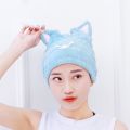 Cute Cat Microfiber Hair-drying Towel Bath Cap Strong Absorbing Drying Long Soft Special Dry Hair Cap Towel with Coral Velvet. 