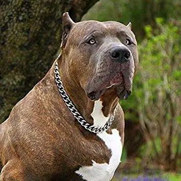 Dog%20Collar%20Necklace,Heavy%20Duty%20Cuban%20Dog%20Chain,Strong%20Stainless%20Steel%20Metal%20Links%20Slip%20Chain%20Collar%20-%20Image%202