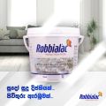 Robbialac Brilliant White Interior Emulsion paint Emulsion Wallmaster. 