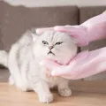 Magic Silicone Body Pet Bathing Gloves for Animal Perfect Bathe Shampoo Dog &Cat Brush Gloves. 