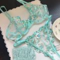 Women's French Embroidered Lace Set Sensual Mesh Bra Set & Brief Soft Underwire Unpadded Bralette Deep V Plunge Elegant Lingerie.