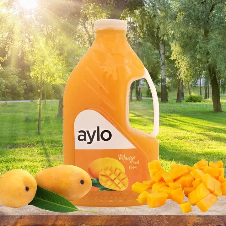 Aylo%20mango%20juice%202Ltr%20pank%20,%206%20pieces%20-%20Image%204