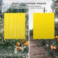 10 Pieces/set Fruit Fly and Slime Board Insect Traps, Fruit Orchard, Melon Garden, Farm, Household Insect Traps.