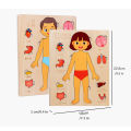 Montessori Puzzles Busy Board Human Body Teaching Learning Body Parts For Children Early Education Games Toddlers Quiet Books. 