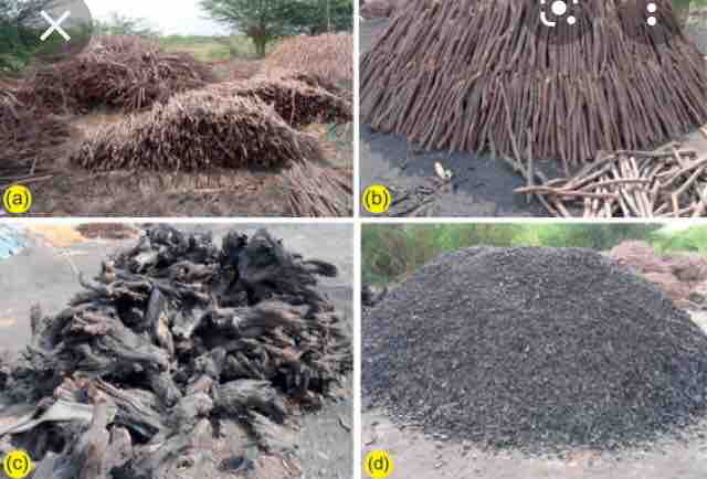 Bio%20charcoal.%202L%20-%20Image%203