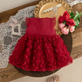 (0-3 Year Old Baby Girl Princess Dress) Summer New Red Bow, Rose Skirt, Children'S Sleeveless Clothes Suitable For Wedding Party. 