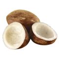 Fresh Coconut (Sbut Narial)1kg pack. 